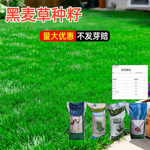 �ļ������{�˺����ݷN�Ӷ����������o�¾G���ͺ���ƺ����