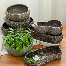 �o��ˮ�ɻ����մ��~�X��˯ɏ��ɏ�����ش�̖��ʯˮ��ֲ�ﻨr^