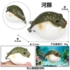 4079 Cute puffer fish