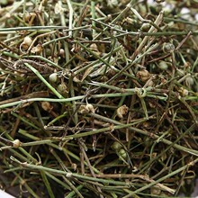 ��ƷҰ���׻��������؛��ș��500g�в�ș����ݰٻ�����ݰ�֦ɏ