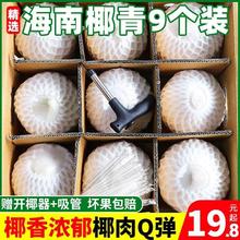 海岛果甜海南椰青 精选9个大果 孕妇新鲜椰子补羊水电解质水1000g