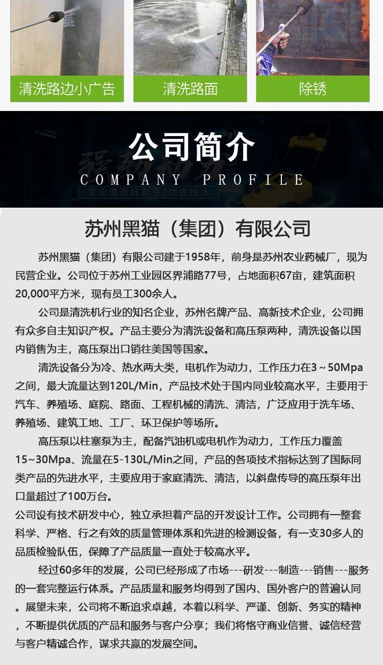 Black Cat Bcc2520B/C Cleaning Machine All-Copper Motor High-Pressure Commercial Car Washing Machine with Long Water Pipe Configuration