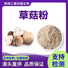 草菇粉Straw Mushroom Powder菌类生粉厂家现货量大从优1k起批