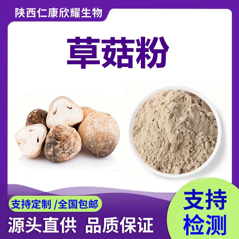 草菇粉Straw Mushroom Powder菌类生粉厂家现货量大从优1k起批