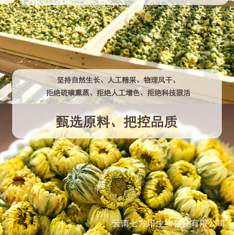 Dried Chrysanthemum Flower Buds Tai Ju Loose Herbal Tea 1kg Whole Flower Heads in use