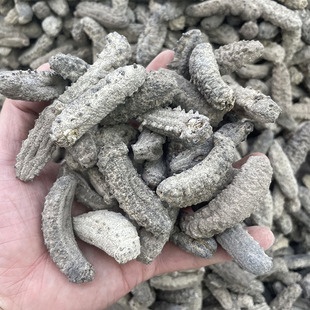 �����Űͅ�����ī�����ㅢ��������̅������ɺ�����؛���l500g