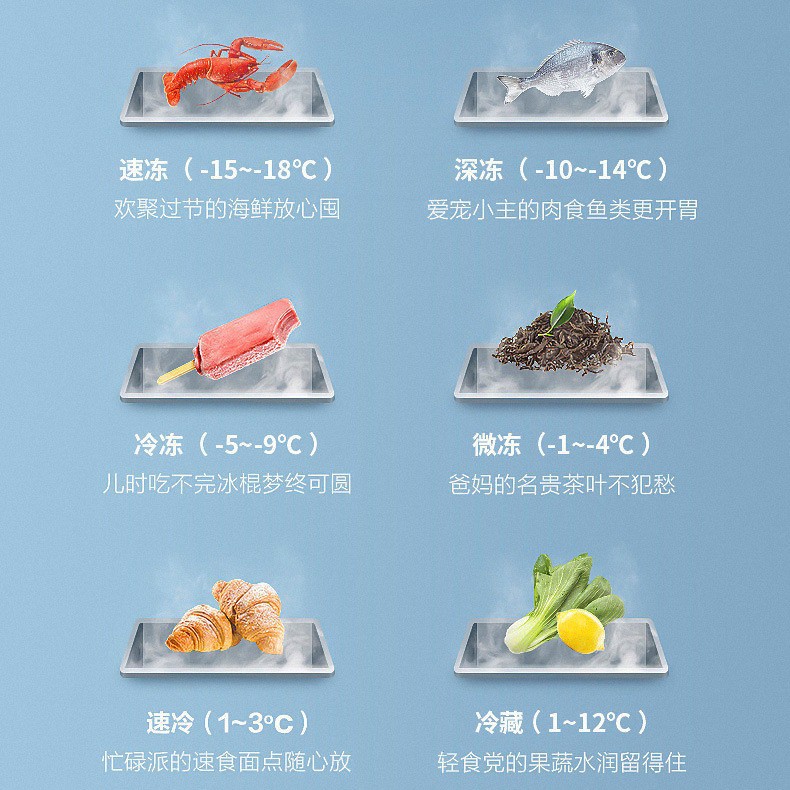 Zhigao Level 1 Energy Efficient Commercial Freezer 4