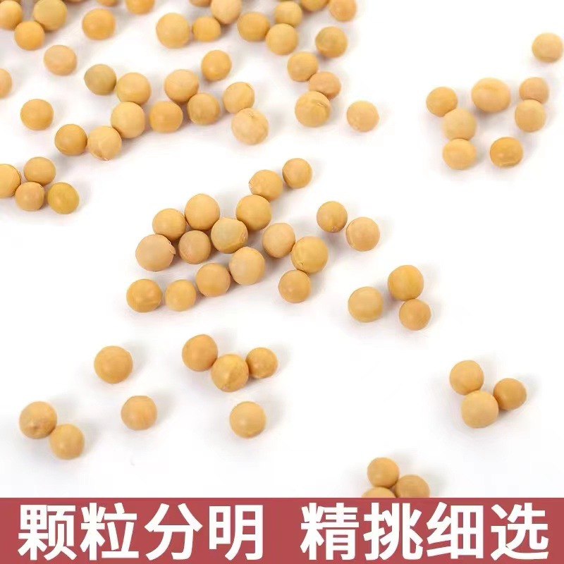 Special non-genetically modified new soybean soybean soybean milk for northeast soybean 400g vacuum packaging