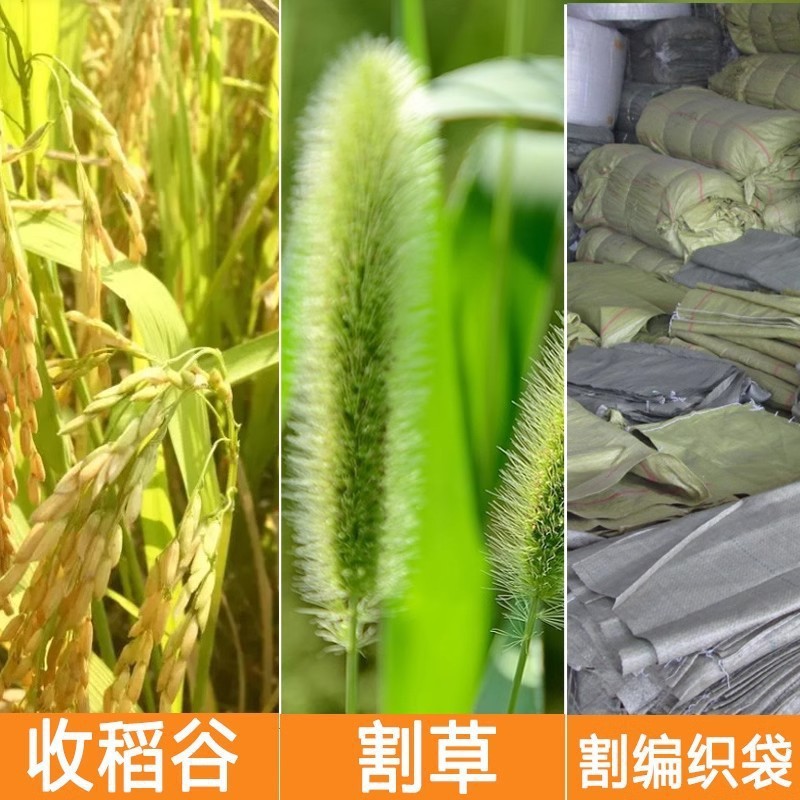 野菜の切り取り用草刈り鎌、除草用具、高マンガン鋼の草刈りナイフ、月形のナイフ、農業用草刈り鎌、稲刈り用鎌|undefined