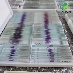 �M����Ƭ ������Ƭ ΢������Ƭ �����x��Ƭ�˱�