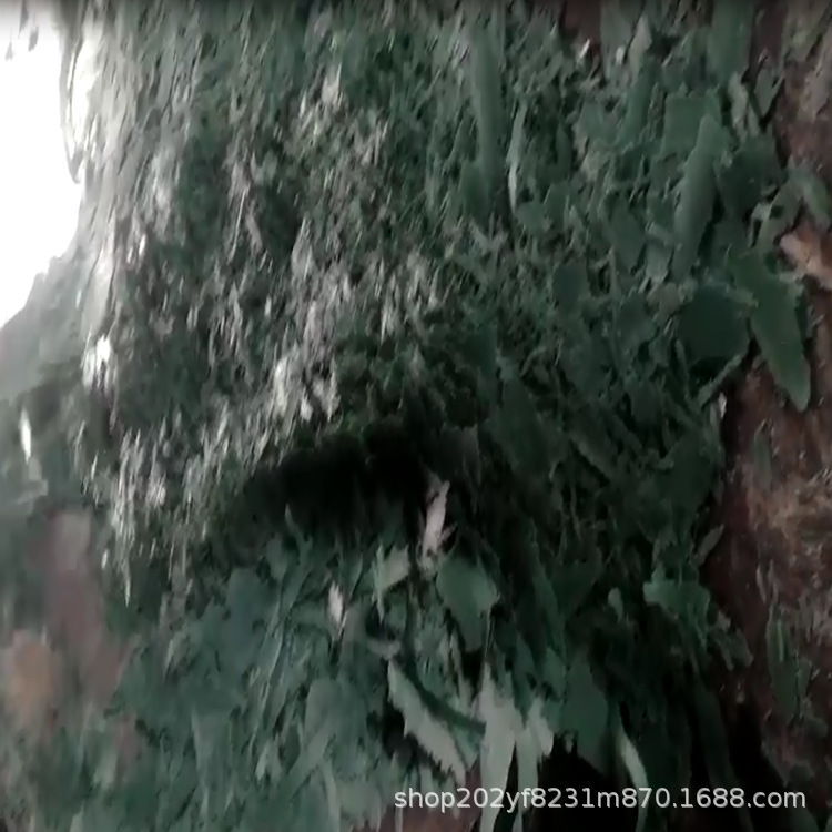 99.9厂家供应pe蜡 聚乙烯蜡 绿蜡 粉末 片状颗粒现货直发样品检测