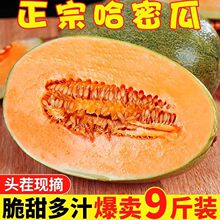 ���ں��Ϲ��ܹ����rˮ��9����ܹ�������]ţ����ϾW�y�۹ϬFժ