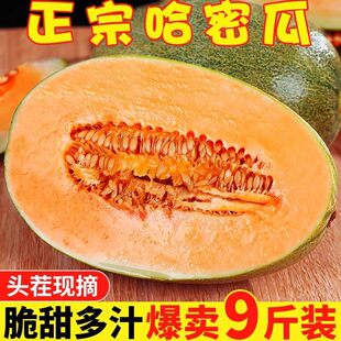 ���ں��Ϲ��ܹ����rˮ��9����ܹ�������]ţ����ϾW�y�۹ϬFժ