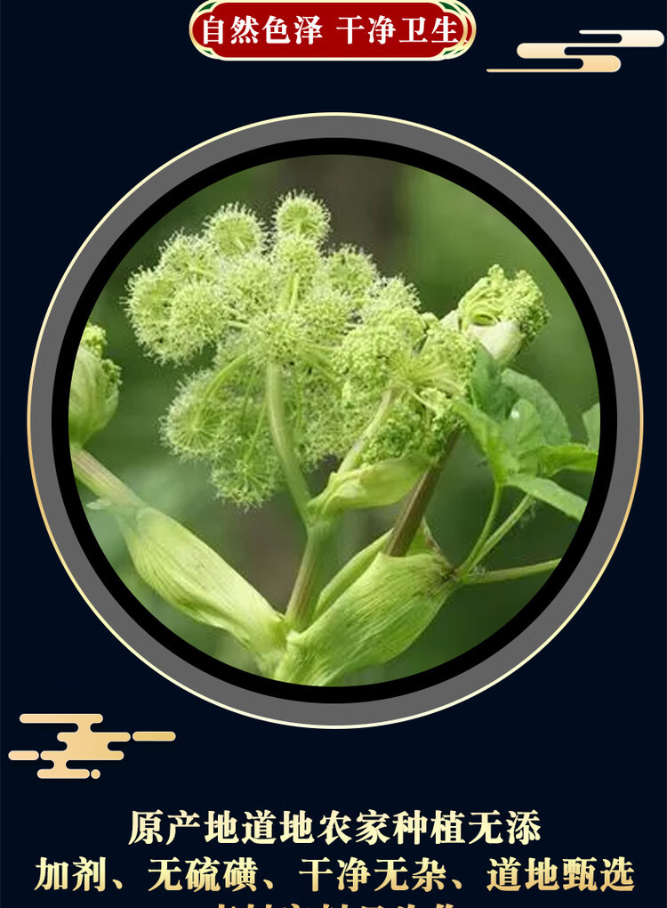 Dried Bai Zhi Angelica Root Slices 500g Culinary Spice for Braising and Stewed Meat key features