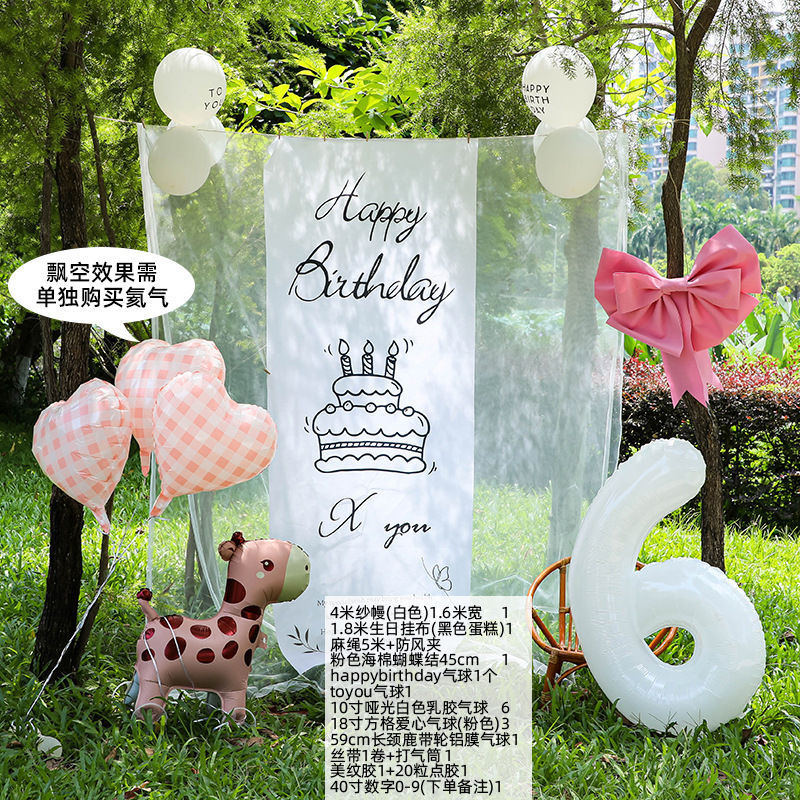 小红薯同款户外生日场景氛围布置装饰网纱背景挂布6周岁男孩拍照|undefined