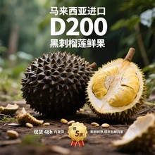 马来西亚进口D200黑刺榴莲带壳整果液氮冷冻黑刺榴莲整箱一件代发