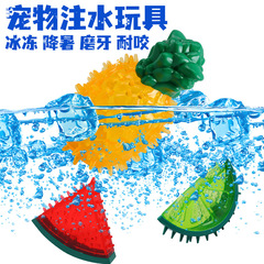 Amazon Pet Teething Cooling Chewing Glue Sound Frozen Summer Dog TPR Chewable Toy Collection