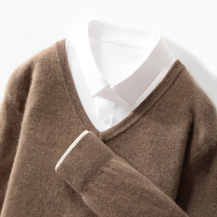 Autumn New V-neck Sweater Men's 100 Pure Wool Sweater Men's Business Casual All-match Top Knitted Wool Sweater