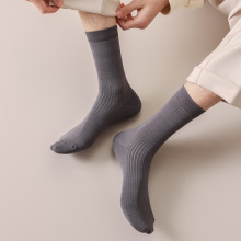 2025�ļ�����ʿ�m���¿�ӗl���m���e���m��Ͳ���e�̄��m���п�