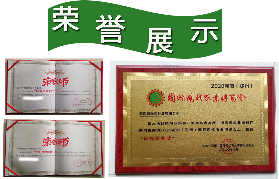 O1CN01p5Pw4U22e08fqSYow_!!6000