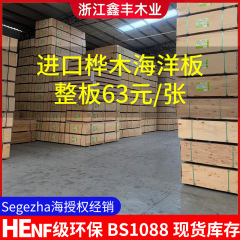 进口全桦木海洋板一手现货直发胶合木板整板环保防潮多种规格批发