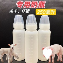 宠物喂奶器养殖用猪奶瓶小羊人工喂养兽刻度250毫升羊羔猪仔奶瓶