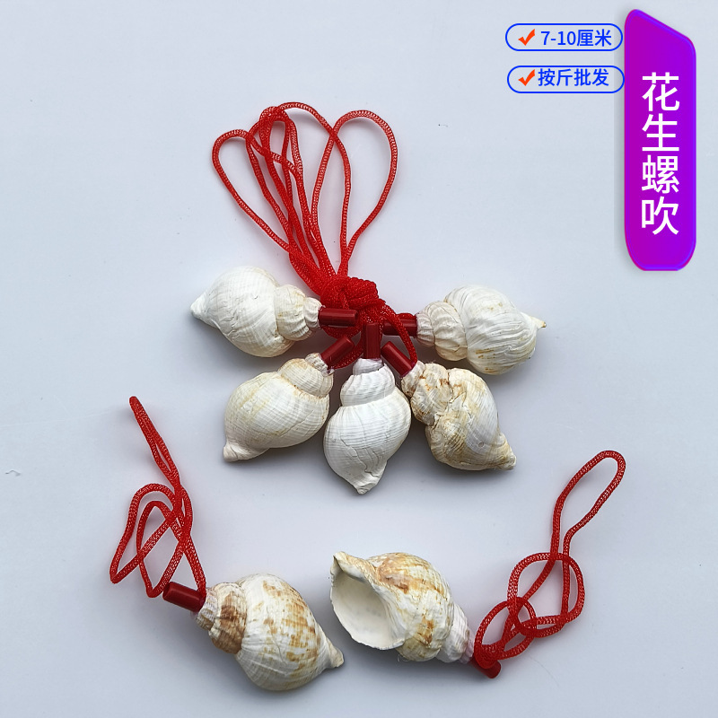 露店の装飾品、さまざまな貝殻、巻貝の工芸品、貝殻、巻貝の笛、子供のおもちゃ、巻貝の笛の卸売|undefined