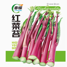 ʮ�¼t��̦�N���ϲ�̦�t�Ͳ˷N���̨�����߲˷N�Ӳ����׷N��