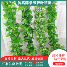 ٗlG}~b٘~ϵ픻ˮܵړ{G~