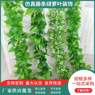 仿真藤条绿萝叶装饰假树叶藤蔓塑料吊顶花藤水管道遮挡空调绿叶花