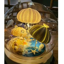 海胆贝壳小夜灯手工成品女闺蜜生日摆件活动装饰小礼品成品礼物