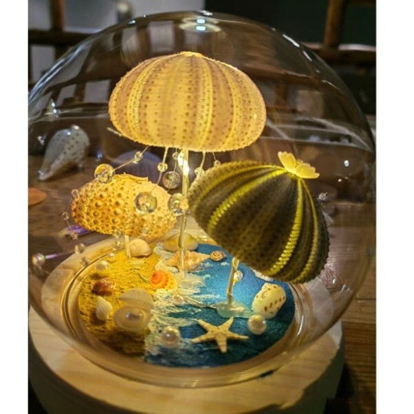 Sea Urchin Shell Night Light Handmade Finished Product, Birthday Decoration for Female Friends, Mother's Day Small Gift, Ready-Made Gift Sea Urchin Shell Night Light Handmade Finished Product, Birthday Decoration for Female Friends, Mother's Day Small Gift, Ready-Made Gift