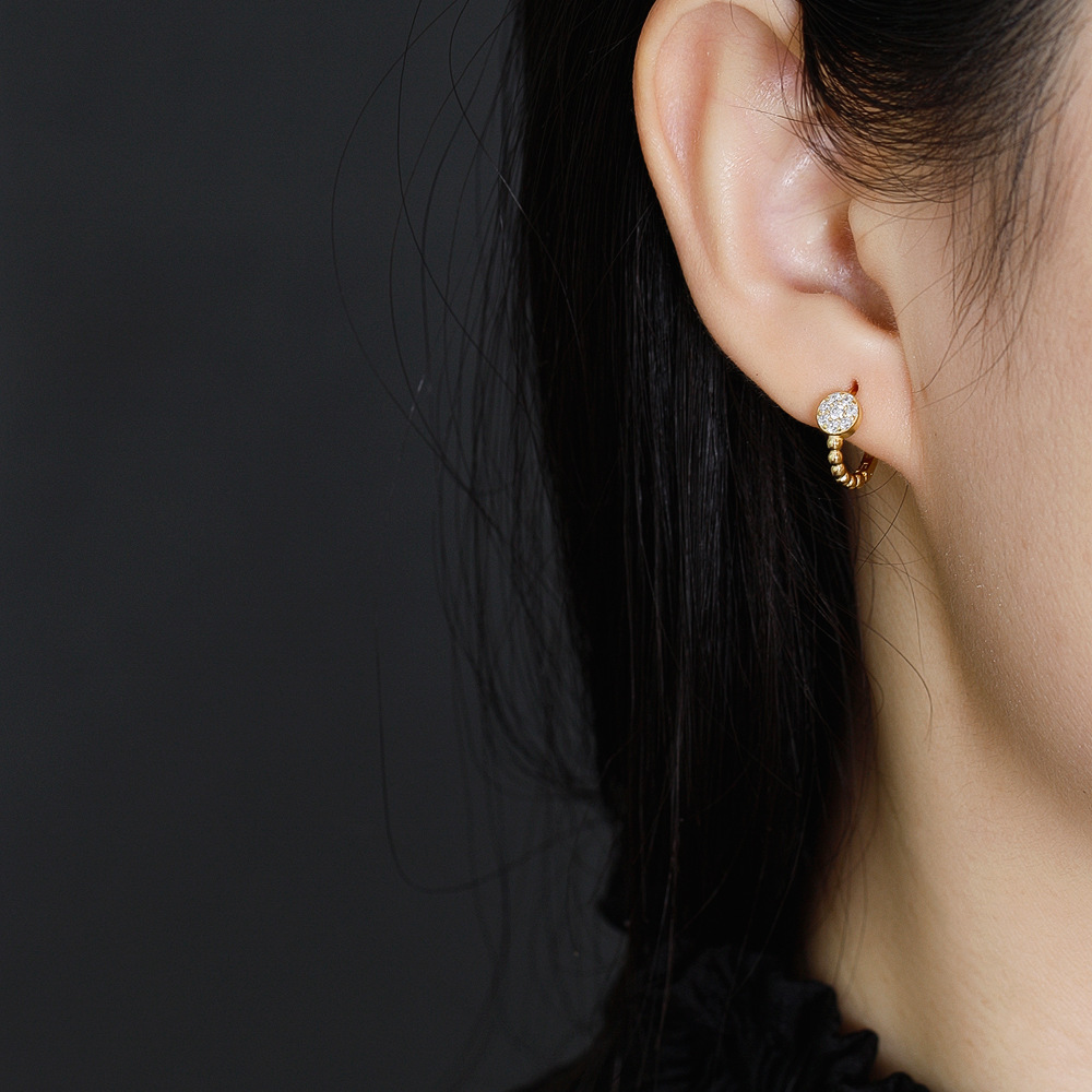 Fashion Geometric Sterling Silver Inlay Zircon Earrings 1 Pair