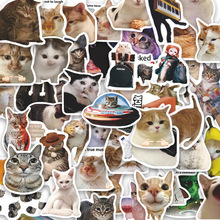 50������؈�������N���b��N��������们���ˮ�N�����l