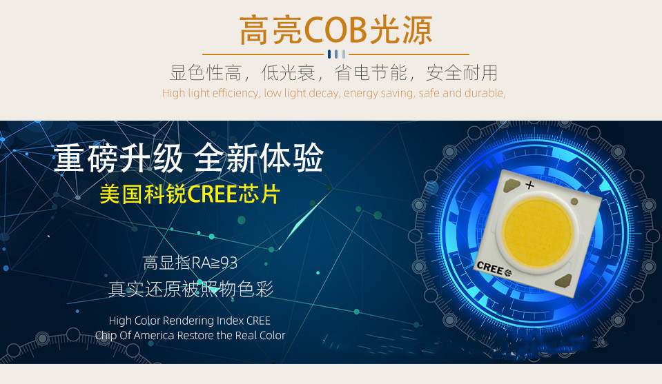 13674641586_997819579_副本