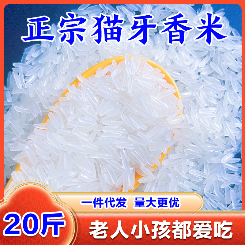 New Rice Southern Cat Tooth Fragrant Rice High Quality Rice Grinding Pot Rice Farm Long Grain Fragrant Rice Wholesale Price