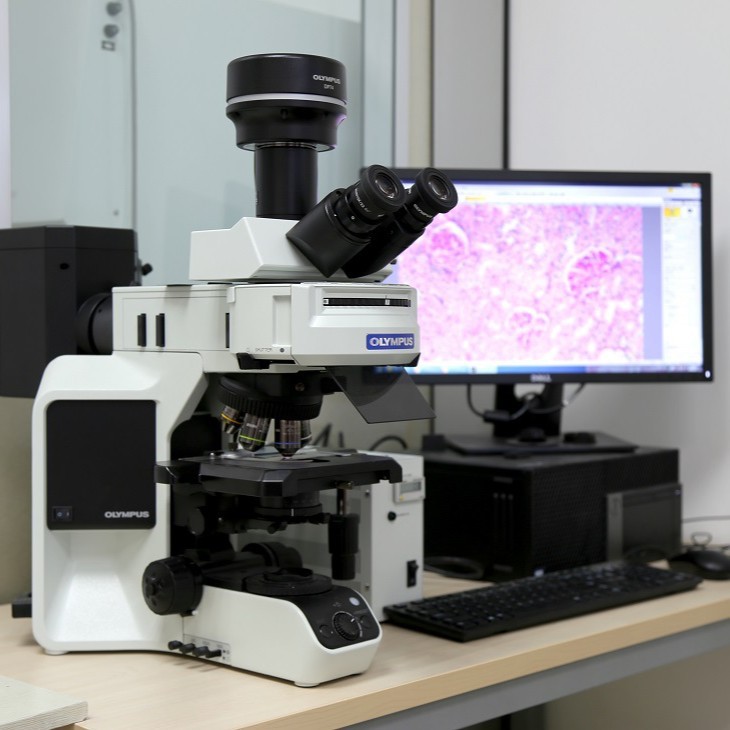荧光定量PCR（qPCR）检测服务（含内参） 索莱宝提供技术服务