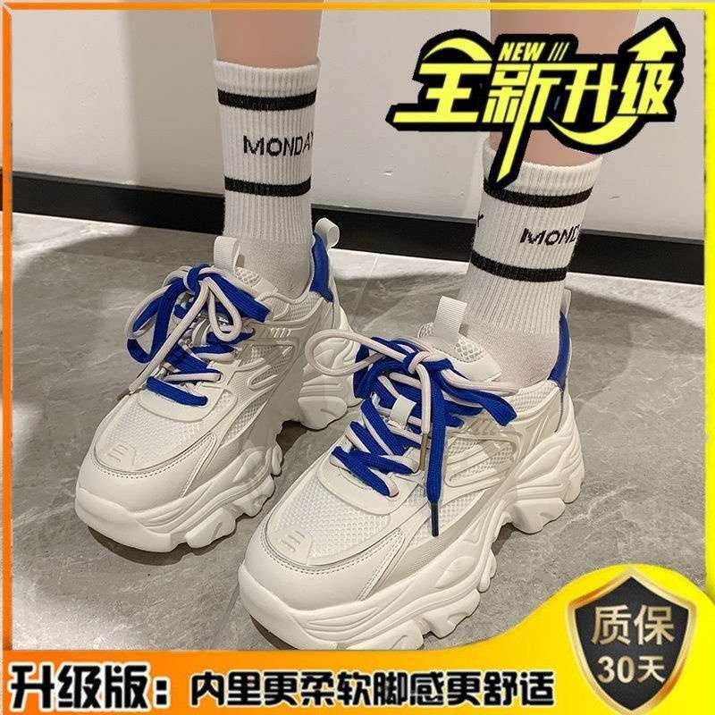 그린 업그레이드 버전