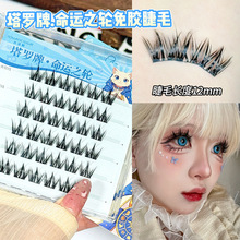 ���������_�����Nʽ���z�ٽ�ë������ճ��Ȼ��͸�ɐ�Ȯϵ��ë���l