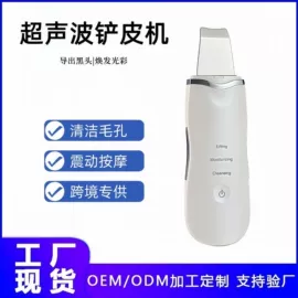 电子美容仪;其他美体瘦身;铲皮机