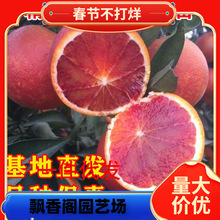 �ؑc�L�ۺ����_��Ѫ�Ș���޽�������Ә����ϱ���ͥԺ���Թ�����