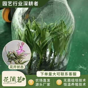 ����ʯ����ˮʯ��1014ƿ���׳ɻ�M��С���҃������Ի�������r��