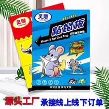 ���l���������N�����Ӵ�Ӻ�ճ�����z�N�F؛�����N������ճ���