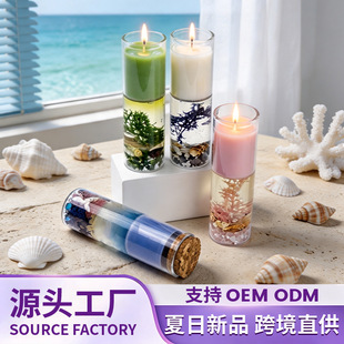 �羳���Շ���޹Ϟ�T���նY���������ֶY������޹�[��Ϟ�T�S��