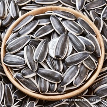 ؛363ԭζӃɹԭζӿѴwӳ