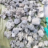 Коралловый морской мундштук