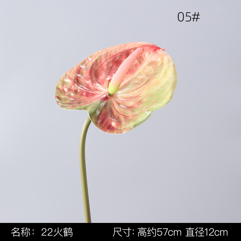05