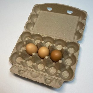 Original Color Natural Color 15-Piece Pulp Egg Box Factory Direct Sale Environmentally Friendly Biodegradable Molded Egg Box Waterproof Paper Material