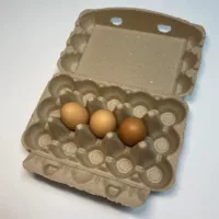 Оригинальный цвет, 15 шт., картонная коробка для яиц из бумажной массы, прямые продажи с фабрики, экологически чистая разлагаемая формованная картонная коробка для яиц из бумажной массы, водонепроницаемая