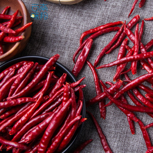 ����500g��������خa�������ɢ�b���������{���u���{ζƷ���l